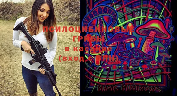 героин Алзамай
