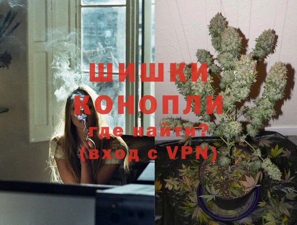 амф Алексин