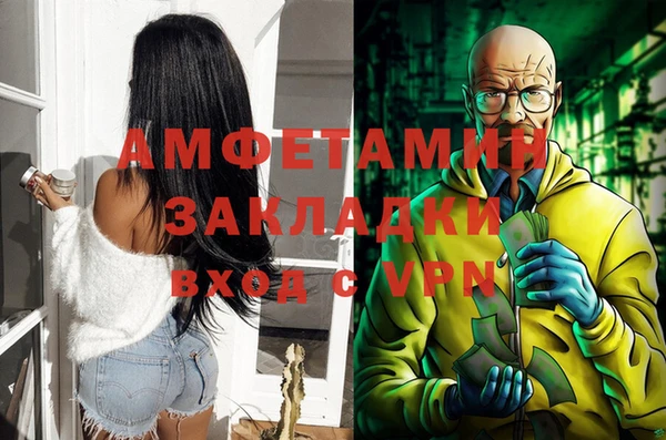 амф Алексин
